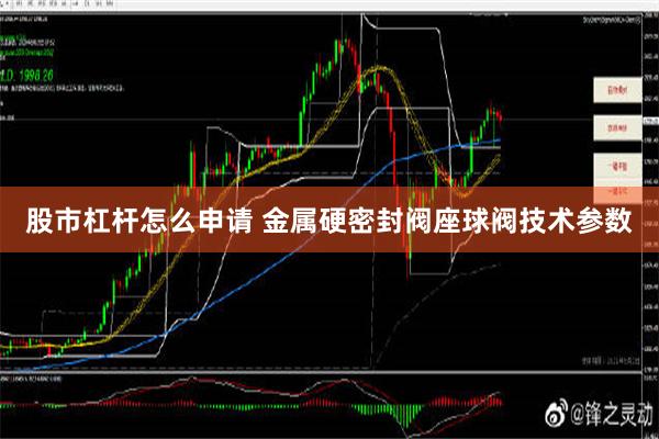 股市杠杆怎么申请 金属硬密封阀座球阀技术参数