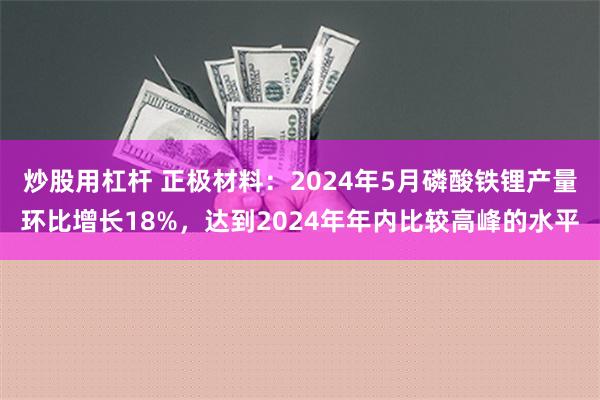 炒股用杠杆 正极材料：2024年5月磷酸铁锂产量环比增长18%，达到2024年年内比较高峰的水平