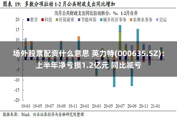 场外股票配资什么意思 英力特(000635.SZ)：上半年净亏损1.2亿元 同比减亏