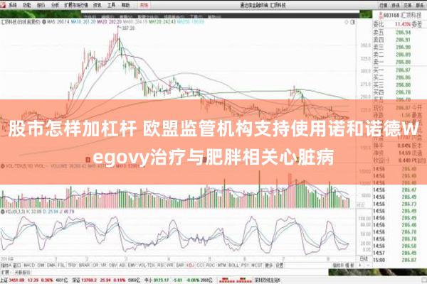 股市怎样加杠杆 欧盟监管机构支持使用诺和诺德Wegovy治疗与肥胖相关心脏病