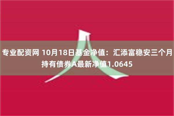 专业配资网 10月18日基金净值：汇添富稳安三个月持有债券A最新净值1.0645