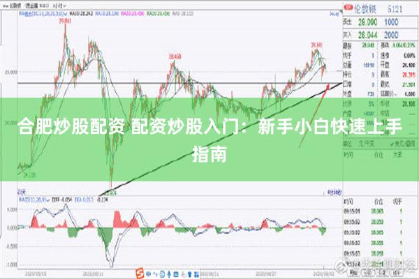 合肥炒股配资 配资炒股入门：新手小白快速上手指南