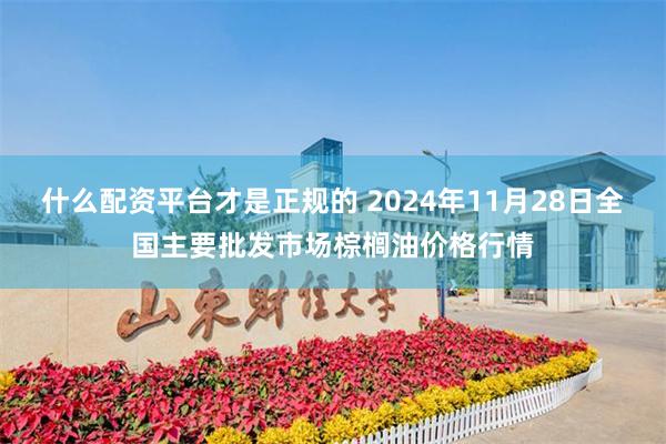 什么配资平台才是正规的 2024年11月28日全国主要批发市场棕榈油价格行情