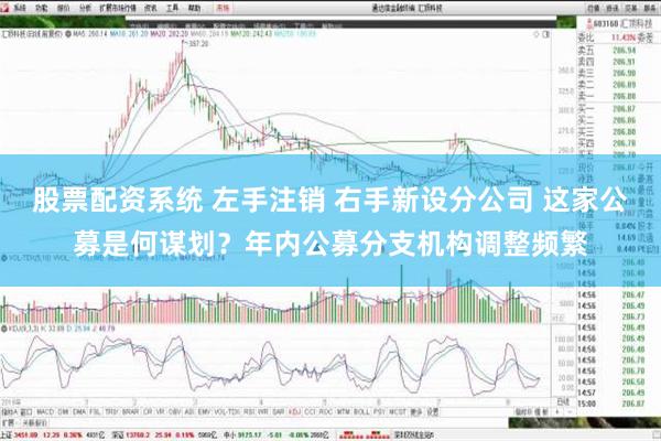 股票配资系统 左手注销 右手新设分公司 这家公募是何谋划？年内公募分支机构调整频繁